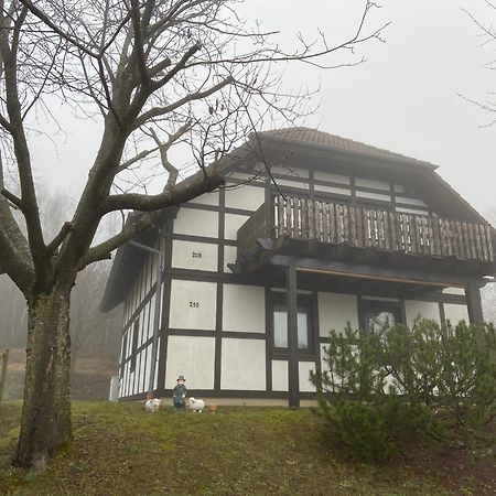 Ferienwohnung Lix Direkt Am Waldrand Frankenau Exterior photo