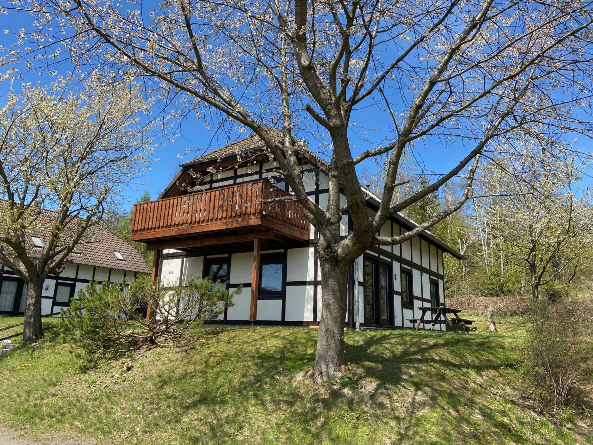 Ferienwohnung Lix Direkt Am Waldrand Frankenau Exterior photo